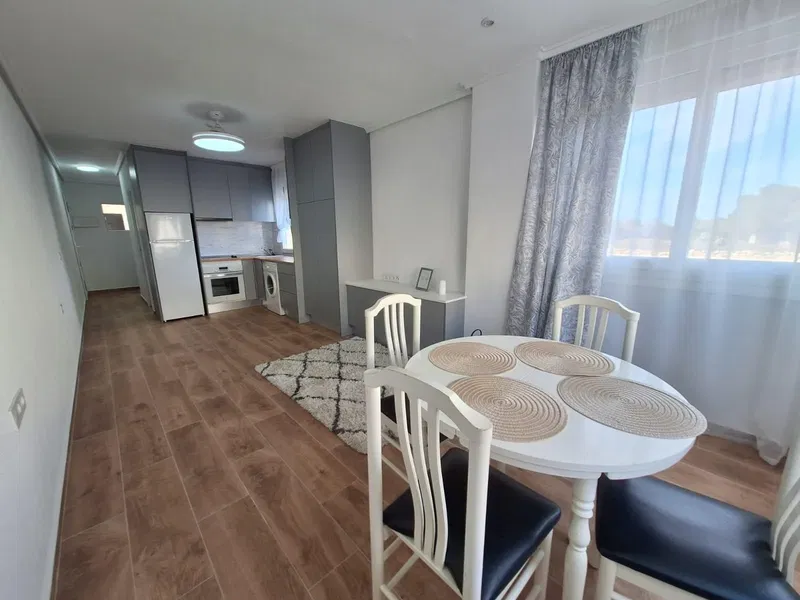 REFORMED 1-BEDROOM APARTMENT WITH A BUILT AREA OF 32 M2 IN LA SIESTA AREA!
